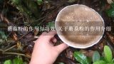 蘑菇粉的作用与功效 关于蘑菇粉的作用介绍