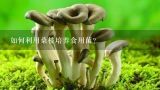 如何利用桑枝培养食用菌？广东农业科学桑枝屑食用菌