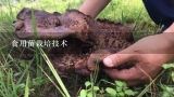 食用菌栽培技术,食用菌的种植方法