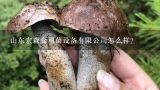 山东宏森食用菌设备有限公司怎么样？济南福强食用菌专业合作社怎么样？