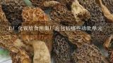 工厂化栽培食用菌厂房包括哪些功能单元,济南市长清区食用菌生产基地