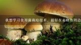 我想学习食用菌栽培技术，最好在赤峰市周边?