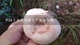 中国十大食用菌生产基地有哪些,河南商丘有几个食用菌基地