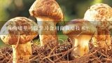 河南哪里可以学习食用菌栽培技术？食用菌平菇栽培技术