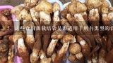 5. 这些食用菌栽培袋是否适用于所有类型的食用菌品种？如果是不是适合所有的情况？