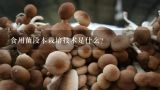 食用菌段木栽培技术是什么？