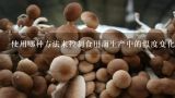 使用哪种方法来控制食用菌生产中的温度变化范围？