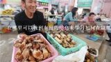 在哪里可以找到有用的信息来学习如何在凤凰县进行食用菌种植？