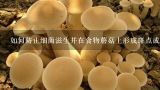 如何防止细菌滋生并在食物蘑菇上形成斑点或其他不均匀分布的现象呢？