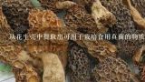 从花生壳中提取出可用于栽培食用真菌的物质需要多长时间才能完成？