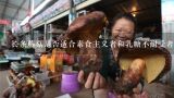 长条蘑菇是否适合素食主义者和乳糖不耐受者食用?