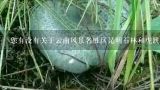 您有没有关于云南风景名胜区昆明石林和虎跳峡的具体介绍?