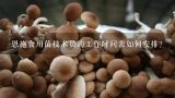 恩施食用菌技术员的工作时间表如何安排?