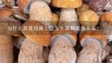 为什么在食用菌上会发生菌群竞争关系?