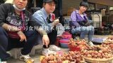 阜阳学习食用菌技术有哪些关键步骤?