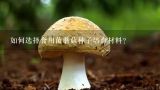 如何选择食用菌蘑菇种子培育材料?