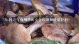 如何进行食用菌的安全检测和质量控制?