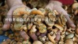 种植蘑菇的最佳施肥频率是什么?