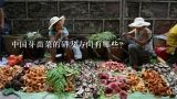 中国芽苗菜的研发方向有哪些?