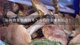 如何将食用菌技术与可持续农业相结合?