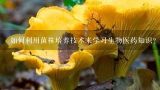 如何利用菌株培养技术来学习生物医药知识?