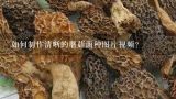 如何制作清晰的蘑菇菌种图片视频?