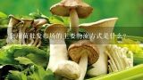 食用菌批发市场的主要物流方式是什么?