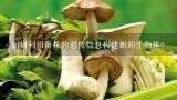 如何利用菌株的遗传信息构建新的生物体?