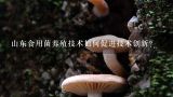 山东食用菌养殖技术如何促进技术创新?