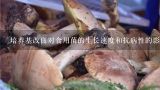 培养基改良对食用菌的生长速度和抗病性的影响是什么?