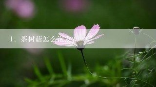 茶树菇怎么泡发？