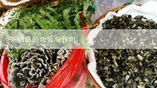 茶树菇的功效与作用