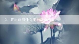 茶树菇用什么肥料菇会增大