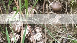 福建茶树菇售价是多少