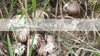 鸡汤茶树菇怎么炖好喝又营养