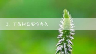 干茶树菇要泡多久