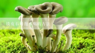 铁皮石斛泡水喝的方法