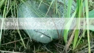 茶树菇没熟吃了会中毒吗