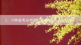 32种菇类品种图片和名字