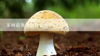 茶树菇煲汤放什么料？