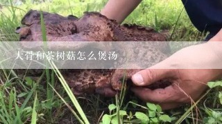 大骨和茶树菇怎么煲汤