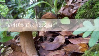 茶树菇炒五花肉怎么做？