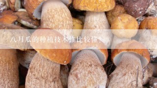 八月瓜的种植技术谁比较懂？