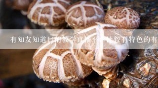 有知友知道目前教学直播平台比较有特色的有哪些吗？体现在哪些方面？