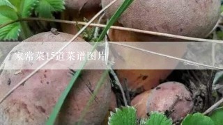 家常菜15道菜谱图片