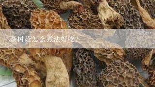 茶树菇怎么煮法好吃？