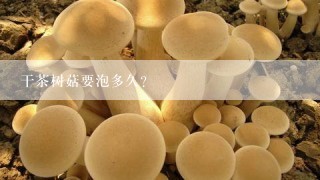 干茶树菇要泡多久？