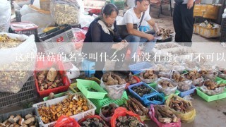 这种菌菇的名字叫什么？有没有毒？可不可以食用？