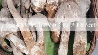 什么是食用菌生料栽培新技术？具体怎么操作？