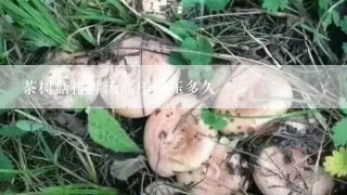 茶树菇排骨汤高压锅压多久